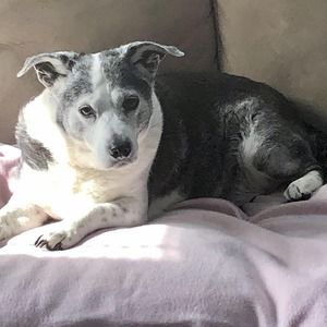 Meet your Posher, Barbara